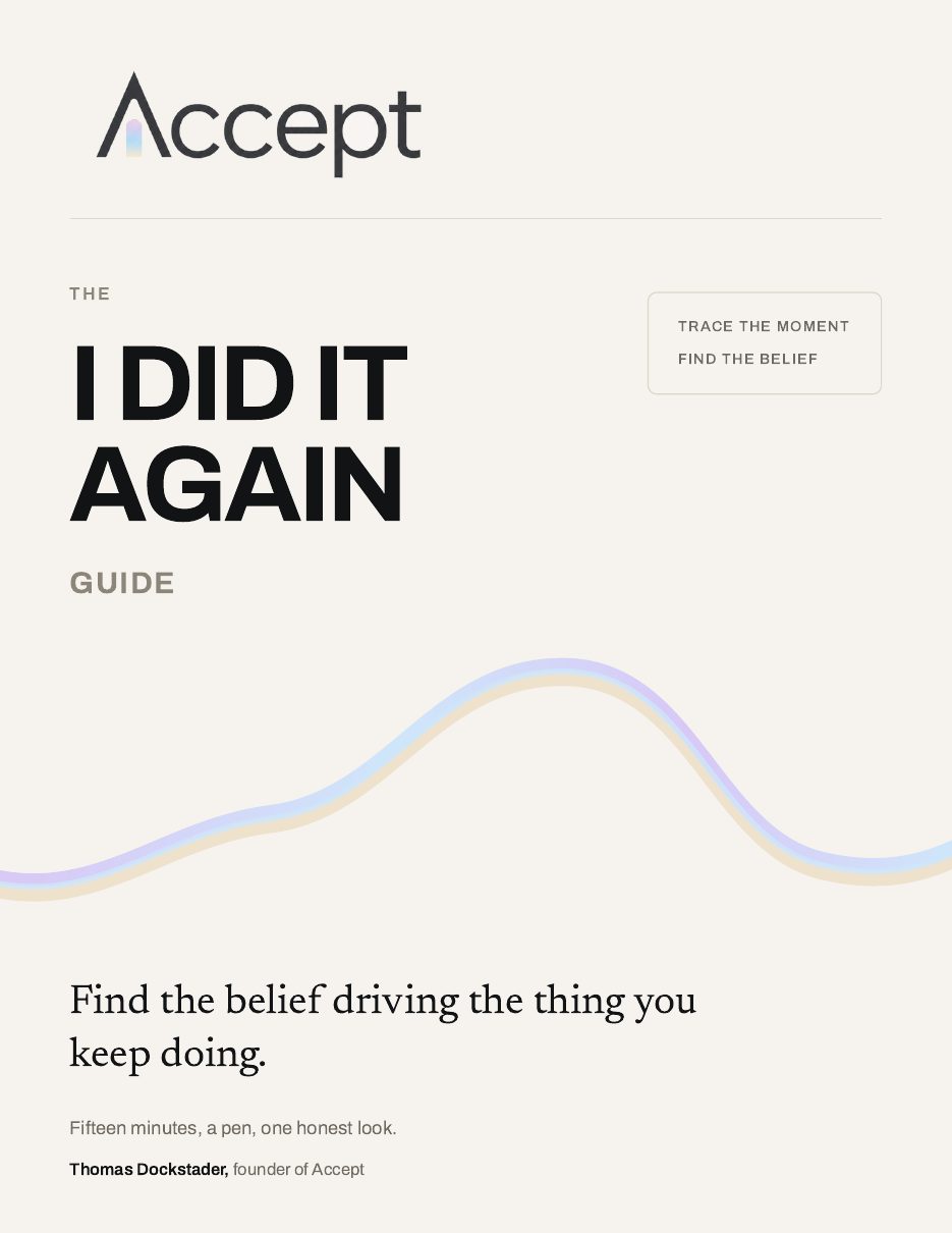 Cover of The I Did It Again Guide